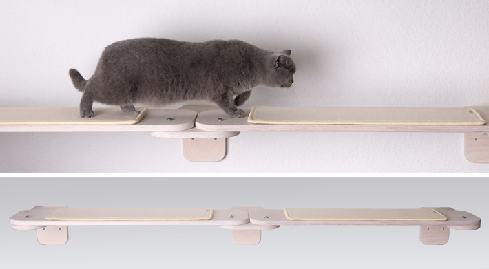katzen_catwalk