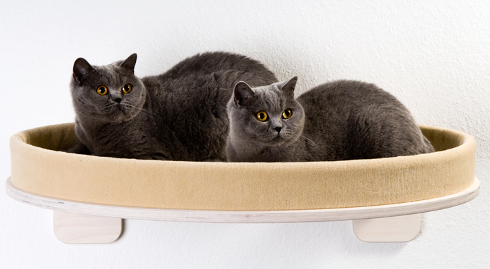 katzenmoebel_wandliege_emma