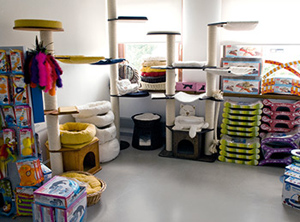 profeline_showroom