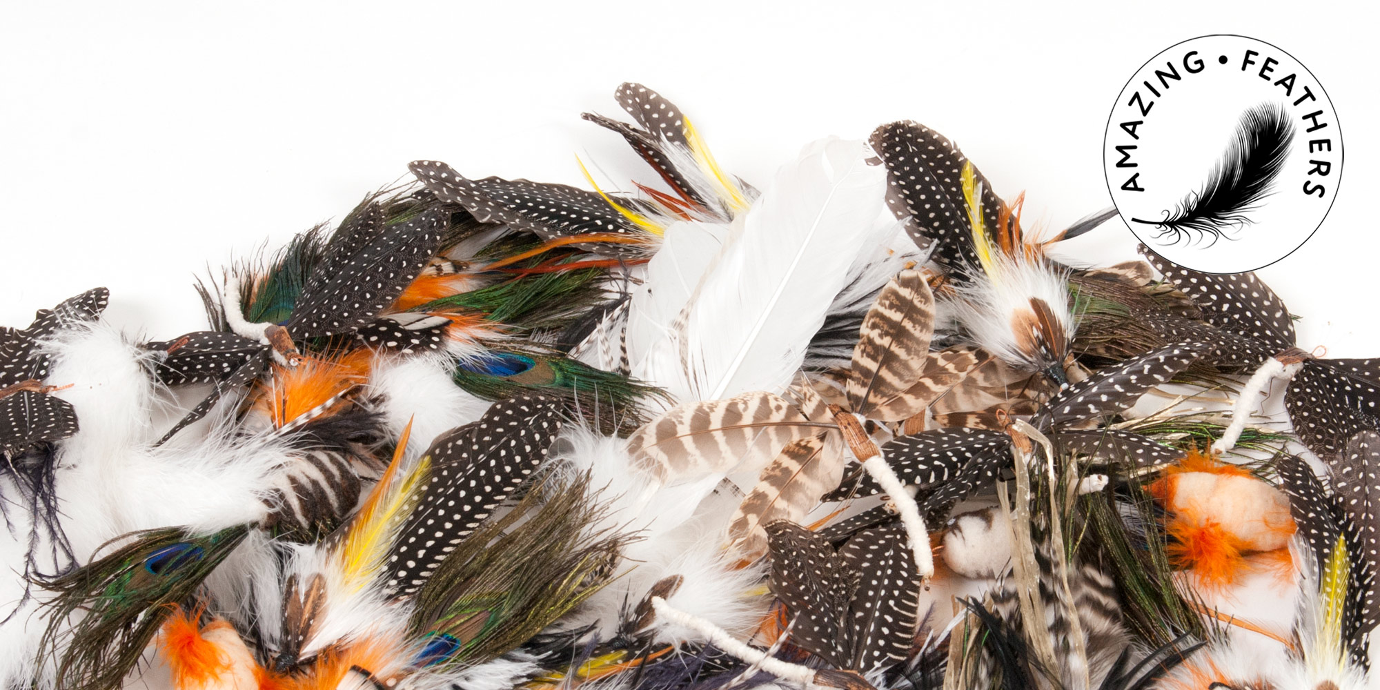 cat-toys-amazing-feathers-banner-2000-1000