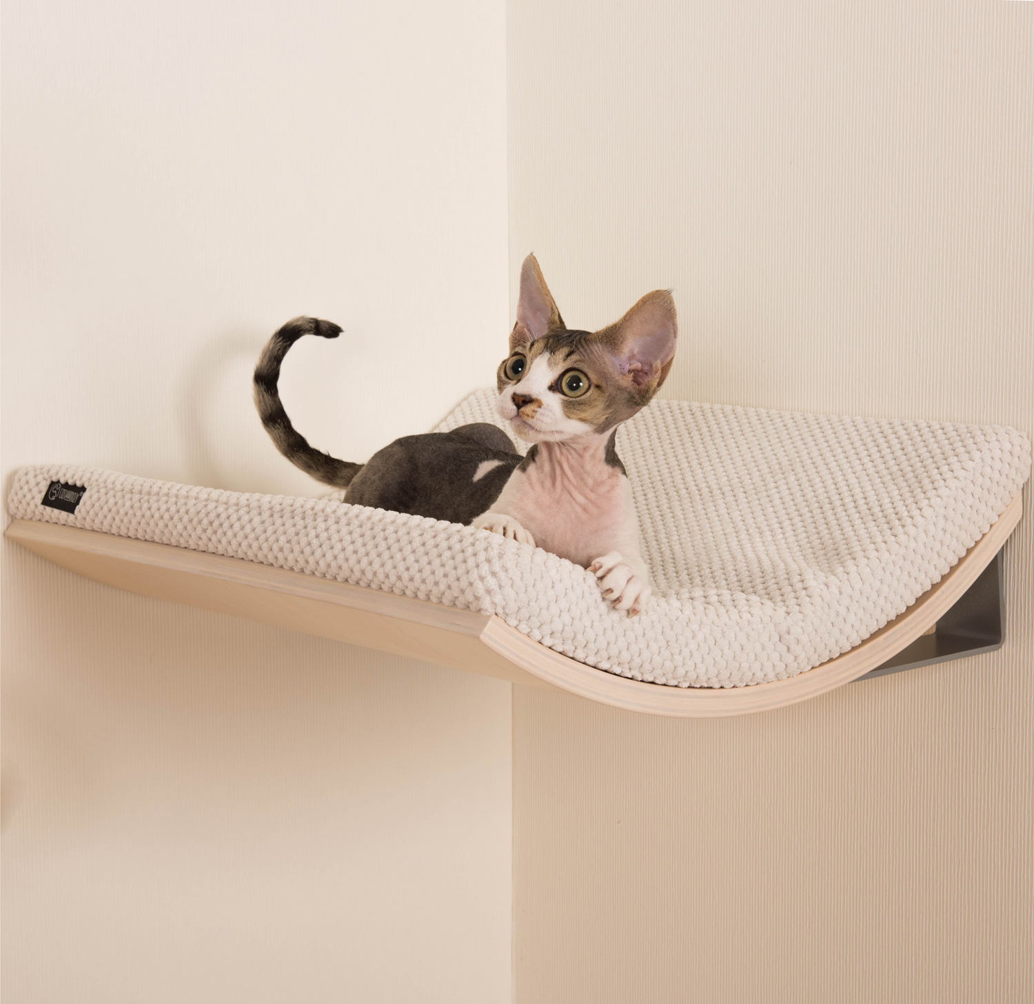Katzen Wanliege Chill - Katzen WanDliege Cosy Dozy