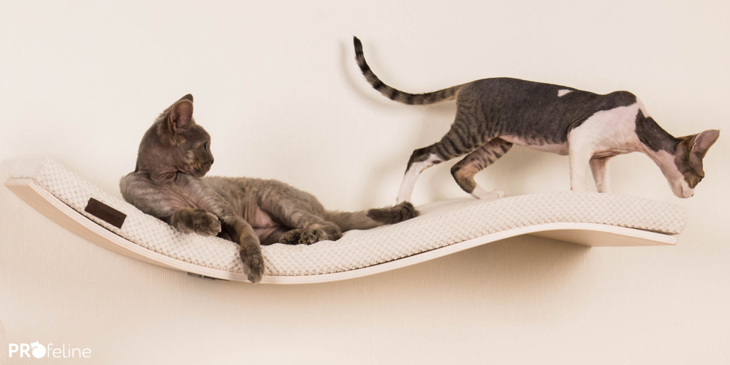 Katzenmöbel, Kratzmöbel und Catwalks für Katzen von Profeline