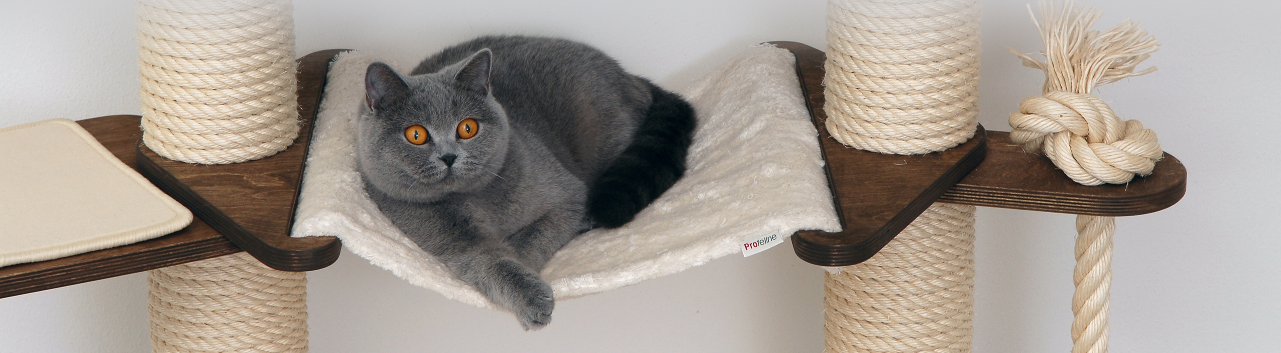 Exklusive Designer Tiermobel Luxus Fur Ihre Katze