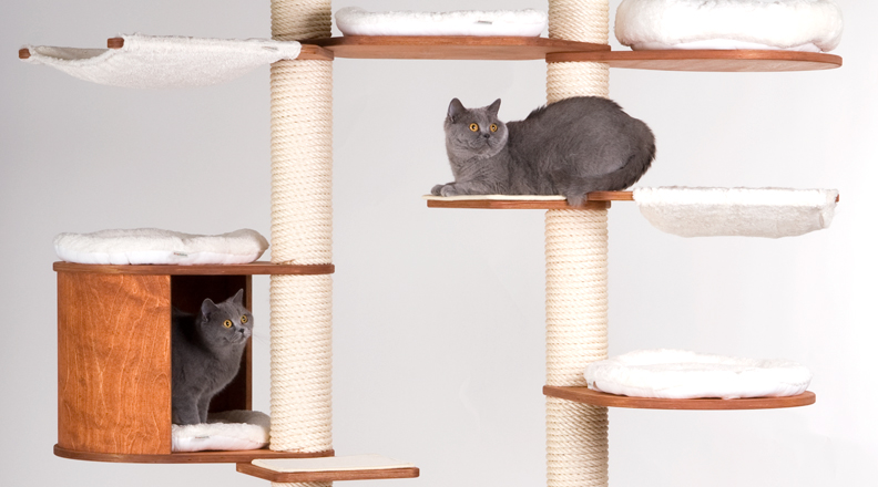 floor to ceiling scratching posts for cats