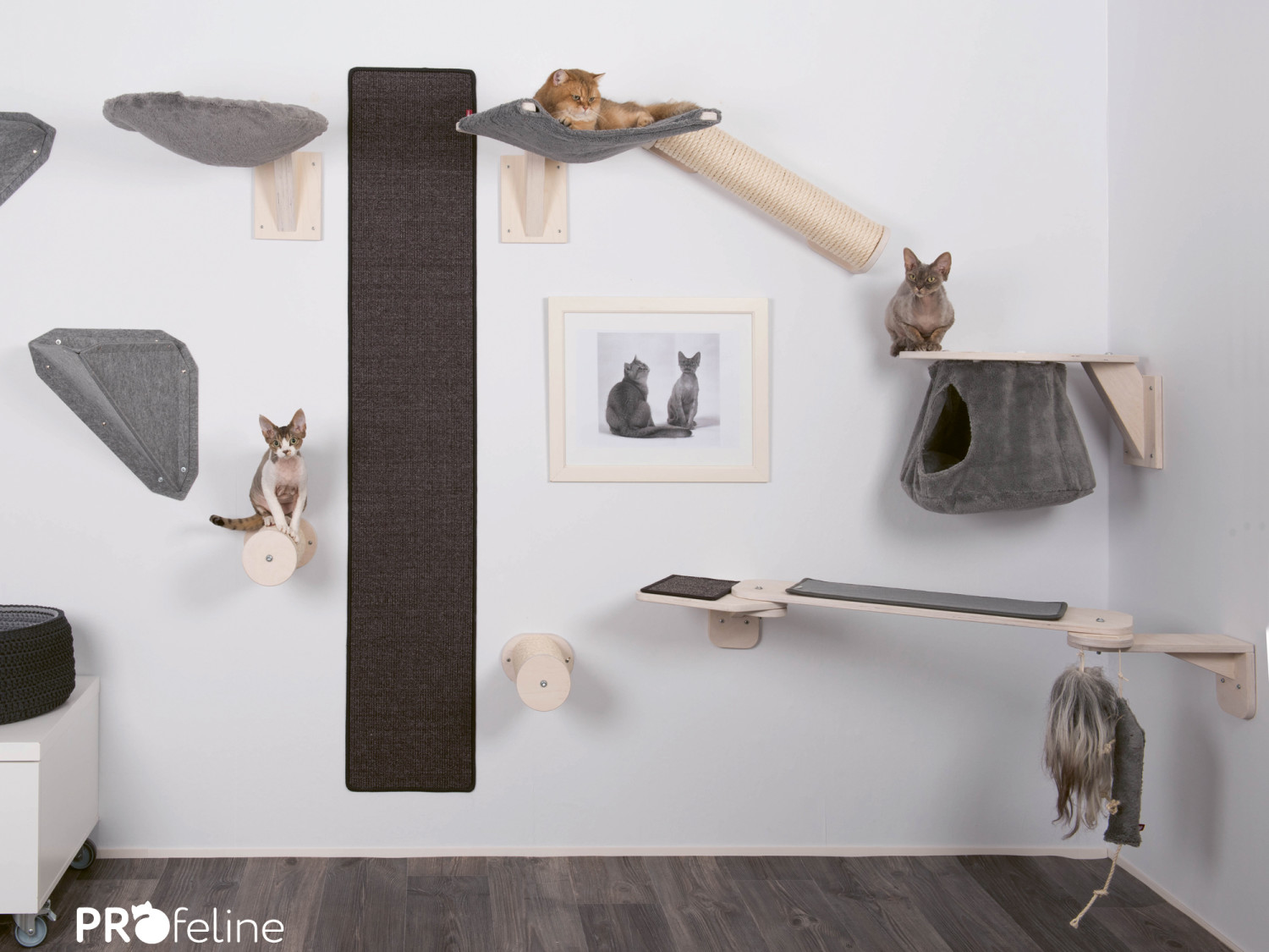 katzen-kletterwand-grau - Katzen KletterwanD Grau 1500x1125