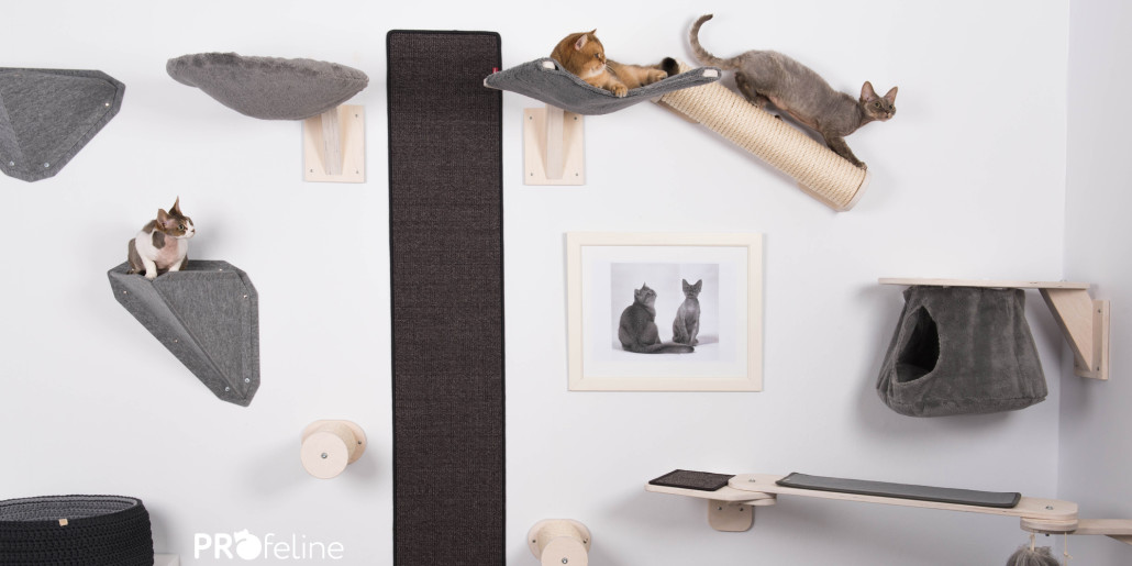 Katzen Kletterwand Abenteuerspielplatz Fur Aktive Katzen