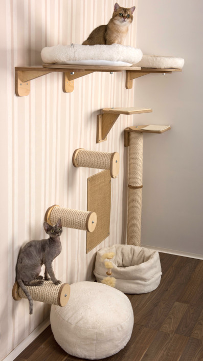Kletterwand für Katzen - KletterwanD KratzwanD Katzen 397x705