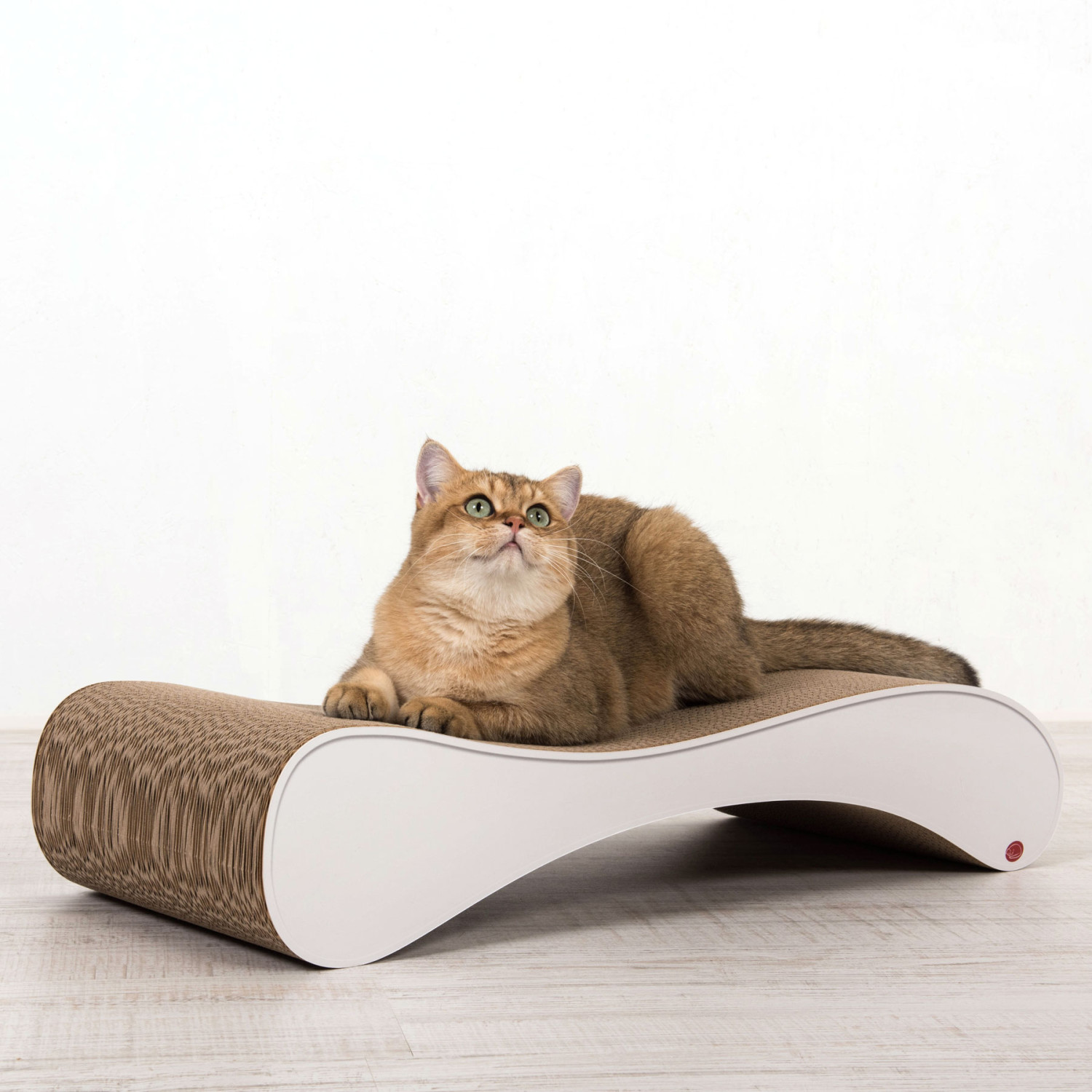 Exklusive Designer Tiermöbel - Kratzmoebel Cat On Swing Katze 1500x1500