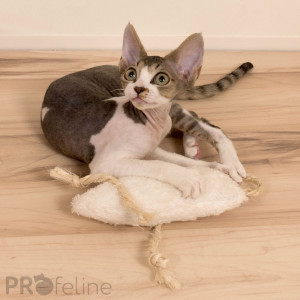 stinkemaus-cattoys-profeline-catnip