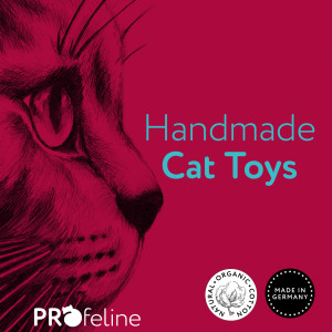 Handmade Cat Toys