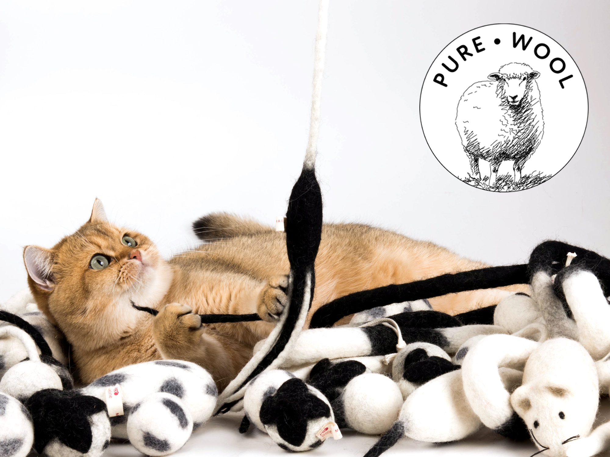 katzenspielzeugcattoyspurewool Profeline