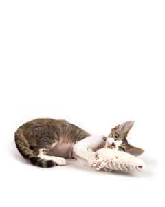 Profeline Organic Cat Toys