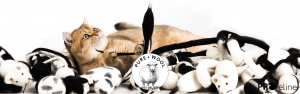 PURE WOOL Katzenspielzeug aus 100% Wolle