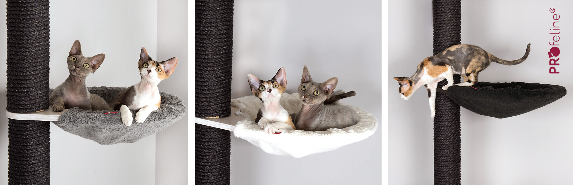 Lit pour chat en bois, lit pour chat en chêne, meubles pour chats